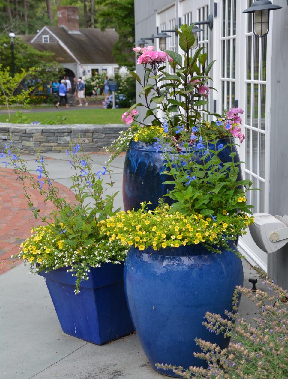 You can have a collection of brightly colored containers in different sizes to make a dramatic statement