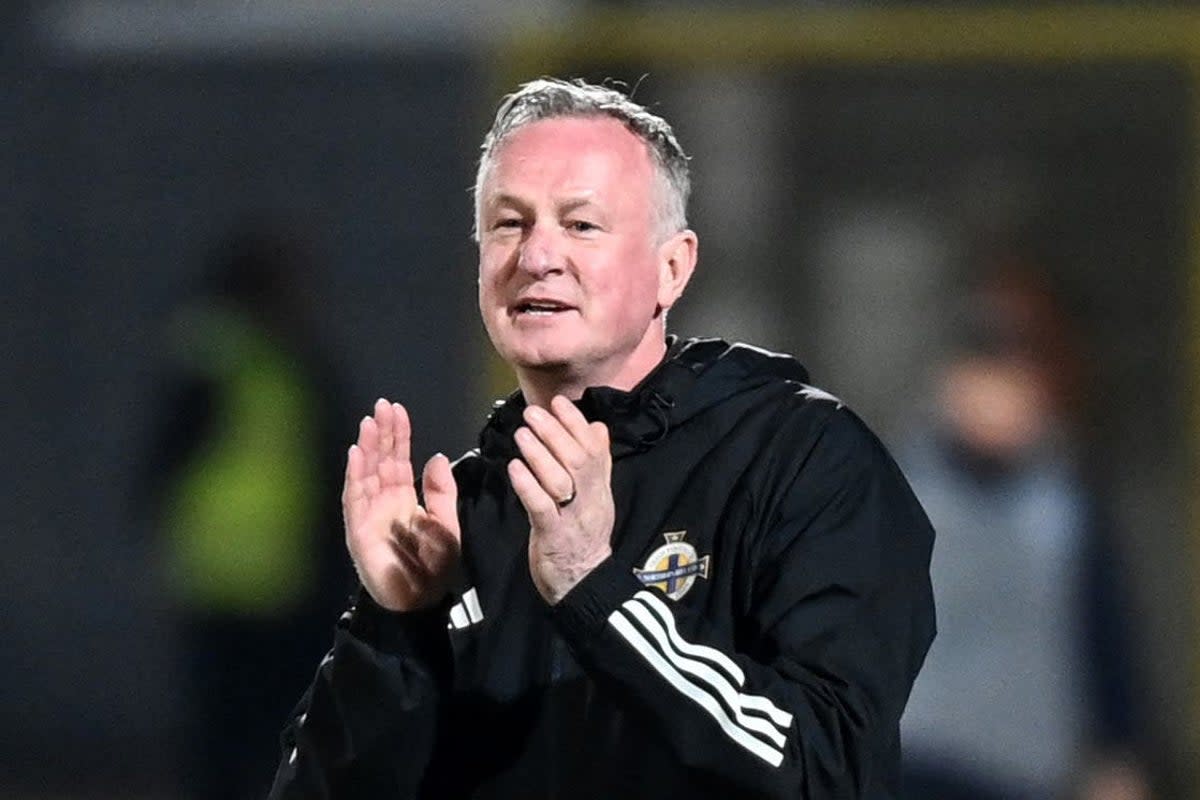 Michael O’Neill heaped praise on Dion Charles (Gianluca Ricci/PA) (PA Wire)