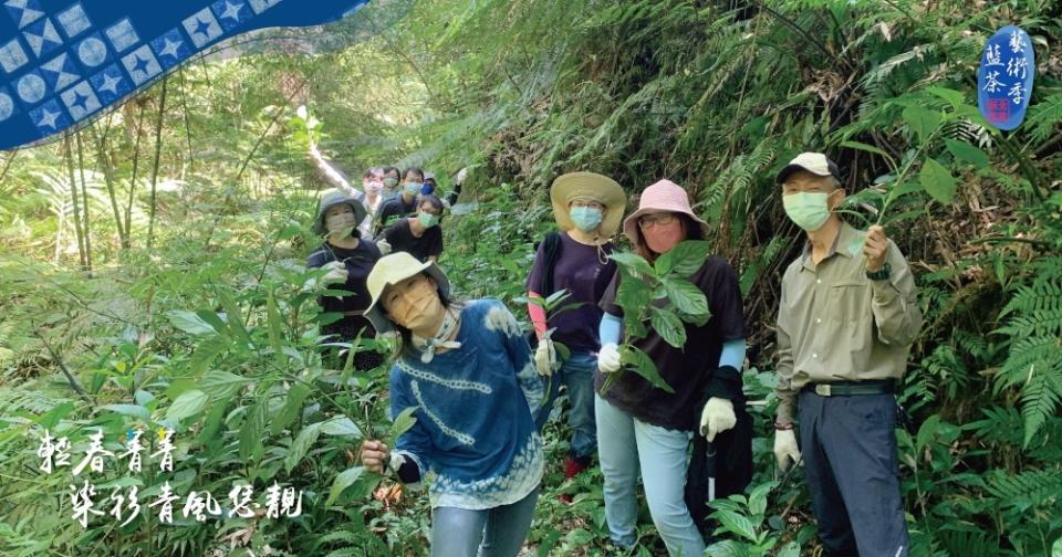 ▲走讀小旅行認識蘭草生長環境，了解藍染。(圖/新北市客家局提供)