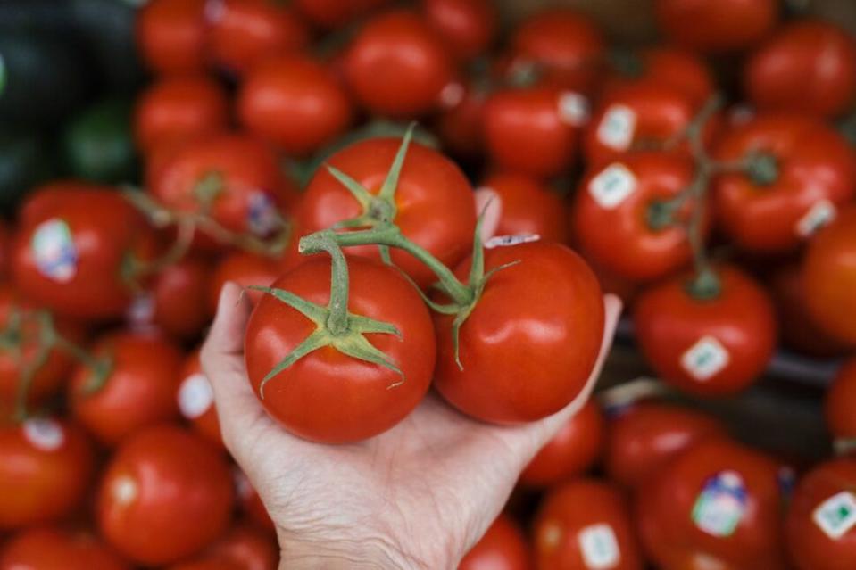 Holding three tomatoes