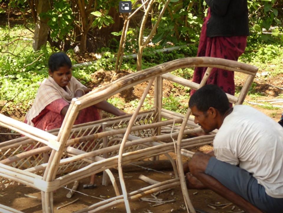 Several groups now engage local communities around tiger reserves to help with the removal of ‘lantana’. Then they use the shrub to make furniture and other utility items (Shola Trust / YouTube)