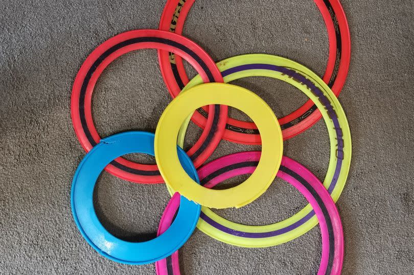 flying ring frisbees