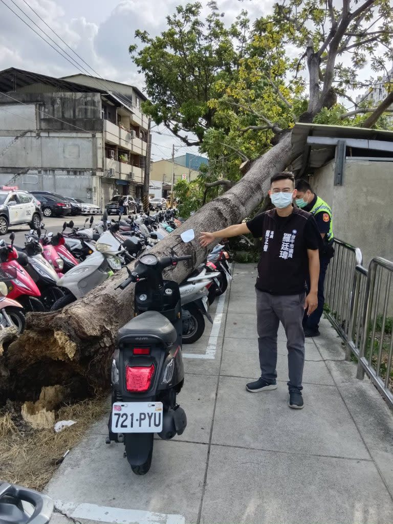 南區忠明南路七三０巷柳川河岸旁路樹、工學北路綠園道，發生零星倒塌案件，突然疑似因風勢太大遭連根拔起倒塌。（記者徐義雄攝）