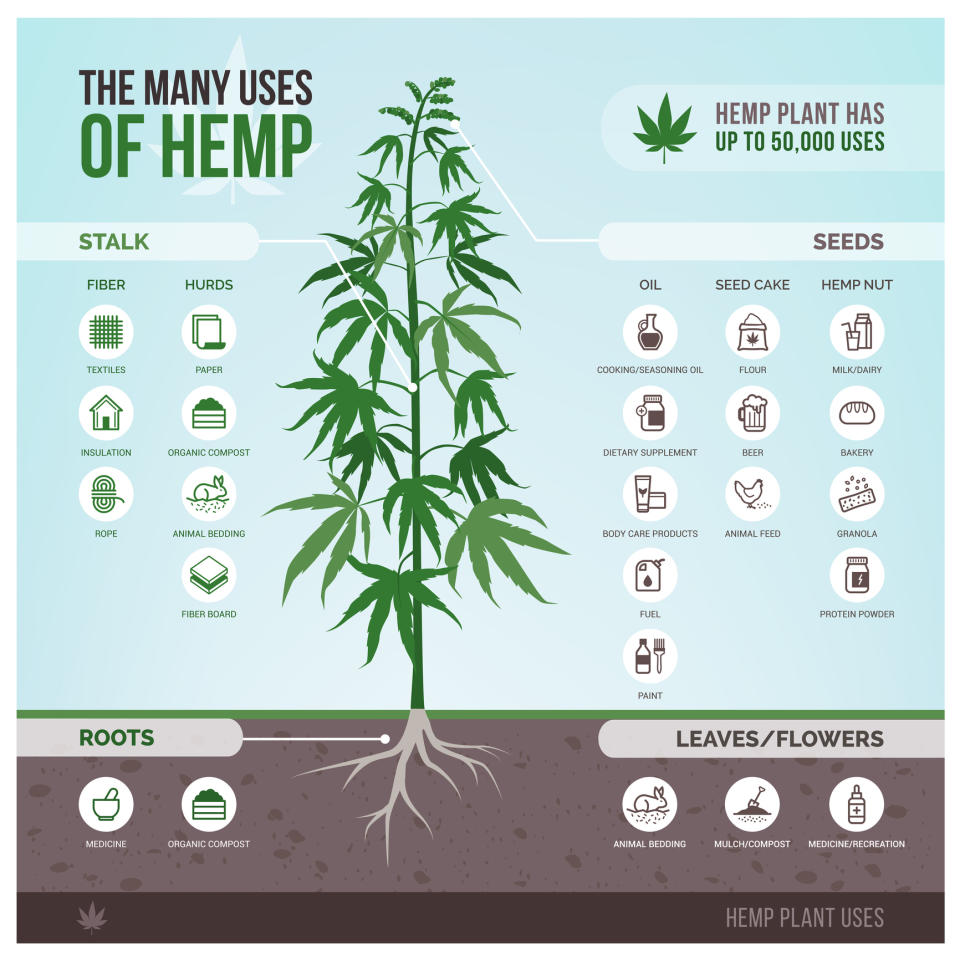 An infographic showing the many uses of hemp.