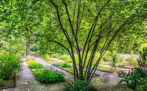  Orto Botanico di Brera, Milan - Credit: Silvia Zecchin