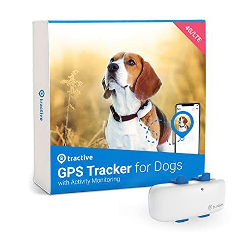 12) GPS Dog Tracker