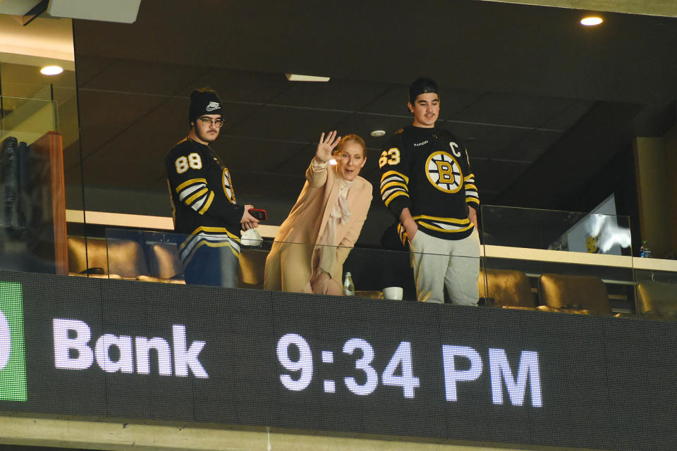 Celine Dion at Bruins game (Steve Babineau / NHLI via Getty Images)