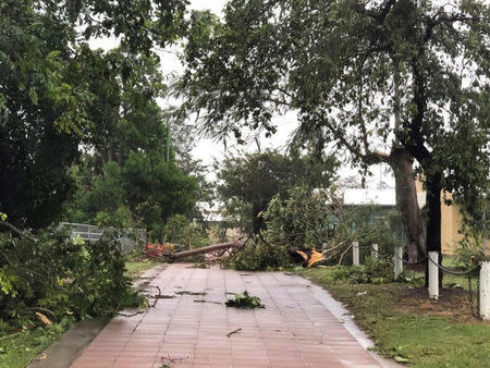 A view of fallen trees is seen in the aftermath of Cyclone Nora it struck Pormpuraaw, Queensland, Australia, in this picture obtained from social media March 25, 2018. Liam Hartley/via REUTERS