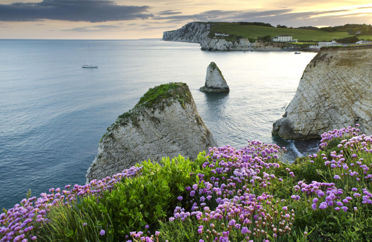 From coastal walks to spectacular views and fantastic food, there's plenty to do in the Isle of Wight [Photo: Getty]