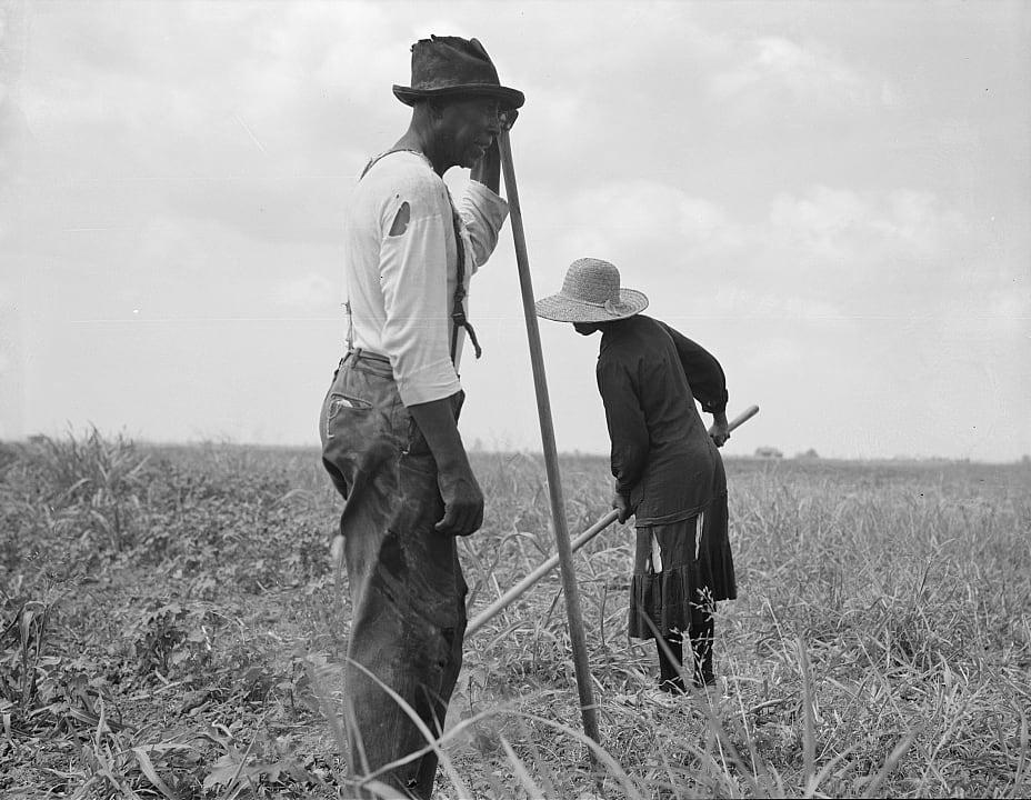 Cotton sharecroppers in Greene County, Ga., June 1937. (Dorothea Lange / Library of Congress)