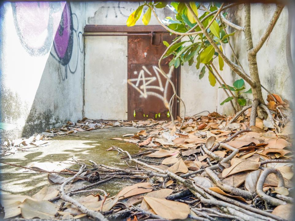 Inside cages at the abandoned zoo