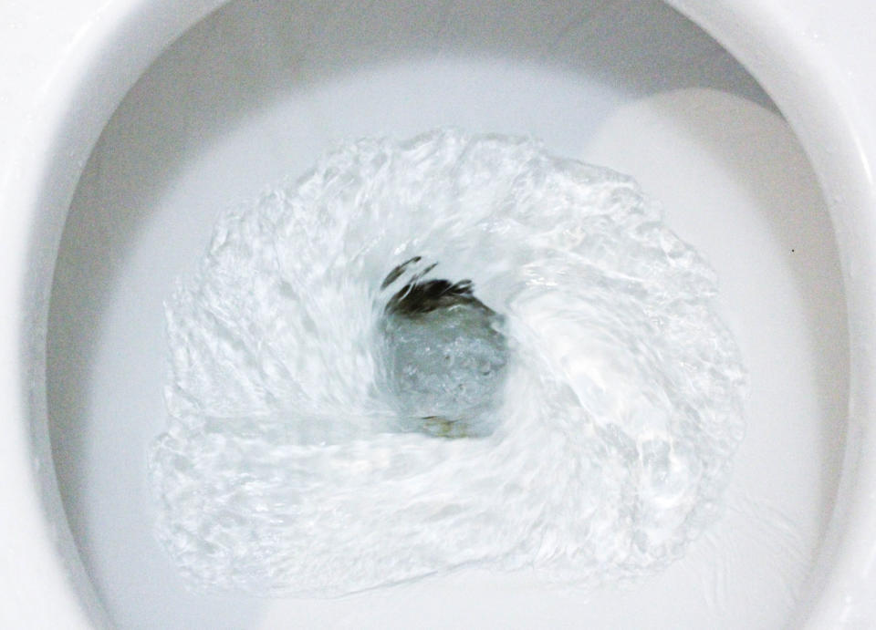 a toilet bowl