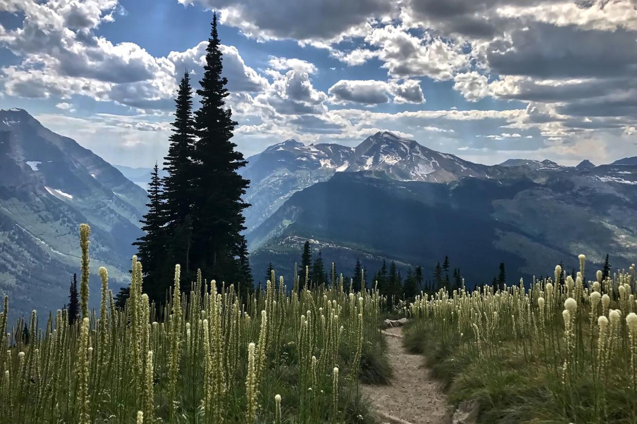 Highline Trail, Glacier National Park