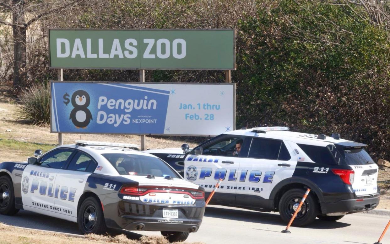 Police at Dallas Zoo - The Dallas Morning News/AP