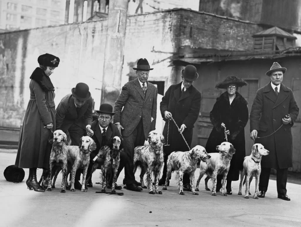 1918 westminster kennel club dog show