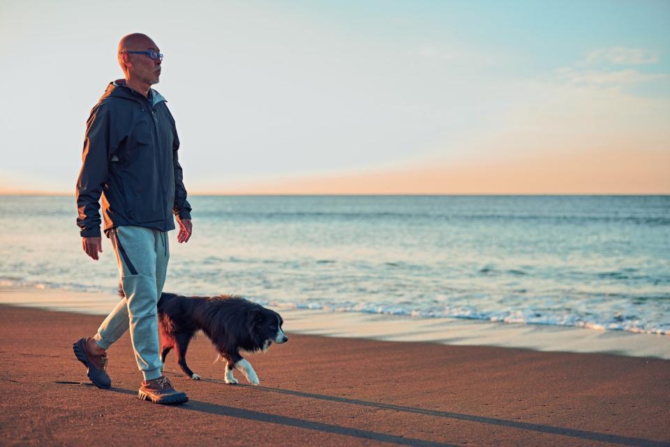 Person walking on the beach with a dog.