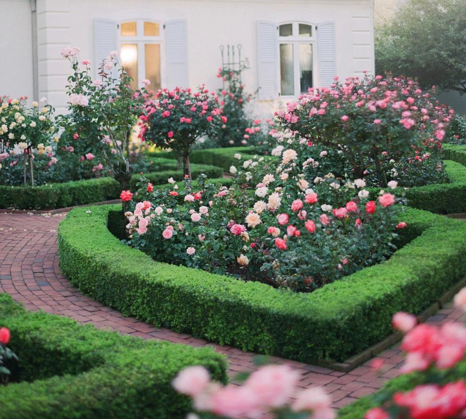 Upon arrival, our guests made their way through the rose garden and down to the aisle.