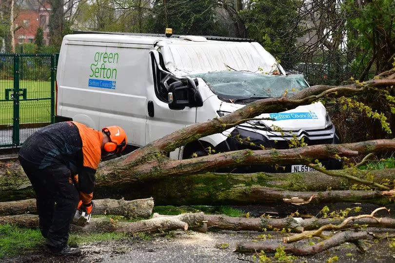 Workers lucky escape after toppled tree falls onto van