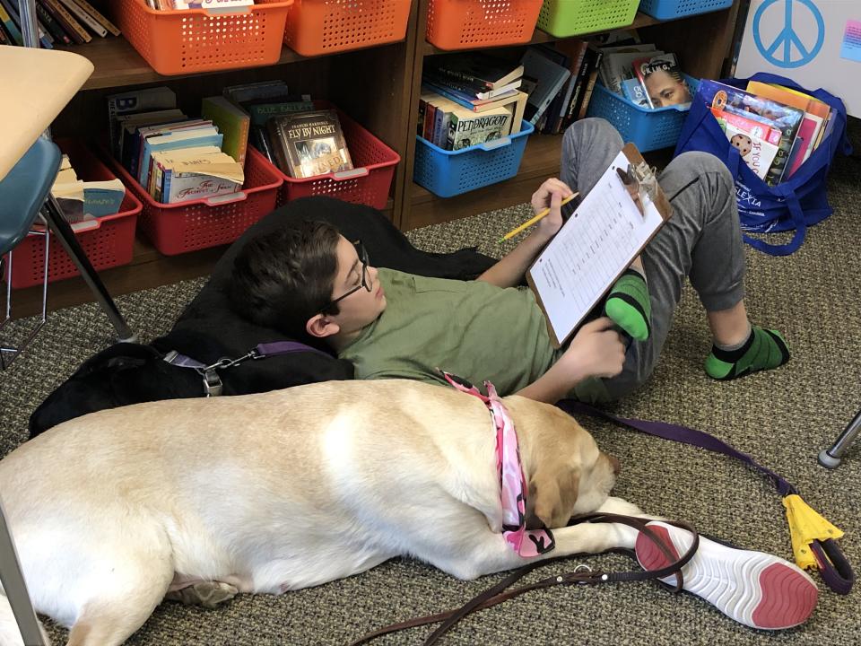 At Scotts Ridge Middle School in Connecticut, students help raise guide dog puppies. (Photo: Scotts Ridge Middle School)