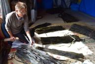 Seaweed farmer Masaji Numadate, 54, touches dried seaweed inside his workplace in Erimo Town, on Japan's northern island of Hokkaido, October 12, 2017. REUTERS/Malcolm Foster