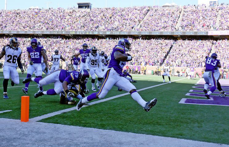 Adrian Peterson, still a purple terror. (Photo by Adam Bettcher/Getty Images)