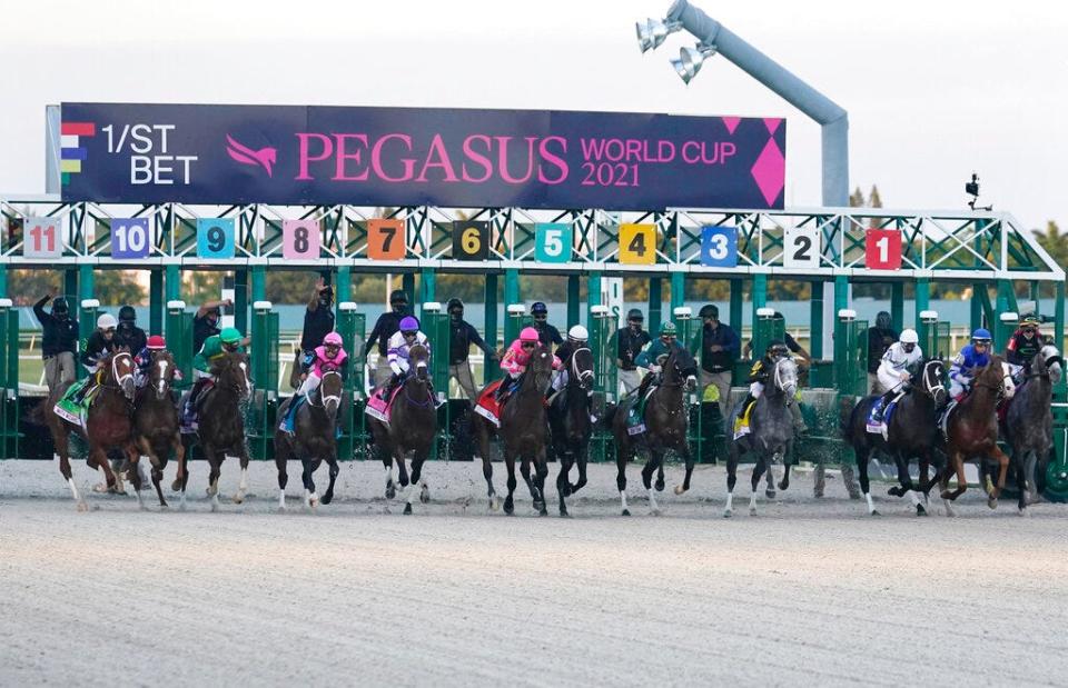 Horses break from the starting gate in the Pegasus World Cup Invitational horse race Jan. 23, 2021, at Gulfstream Park in Hallandale Beach, Florida. Knicks Go (4), with jockey Joel Rosario, won the race. Gulfstream Park, a race track with slot machines inside, is one of 15 approved venues that have legal gambling in Florida.