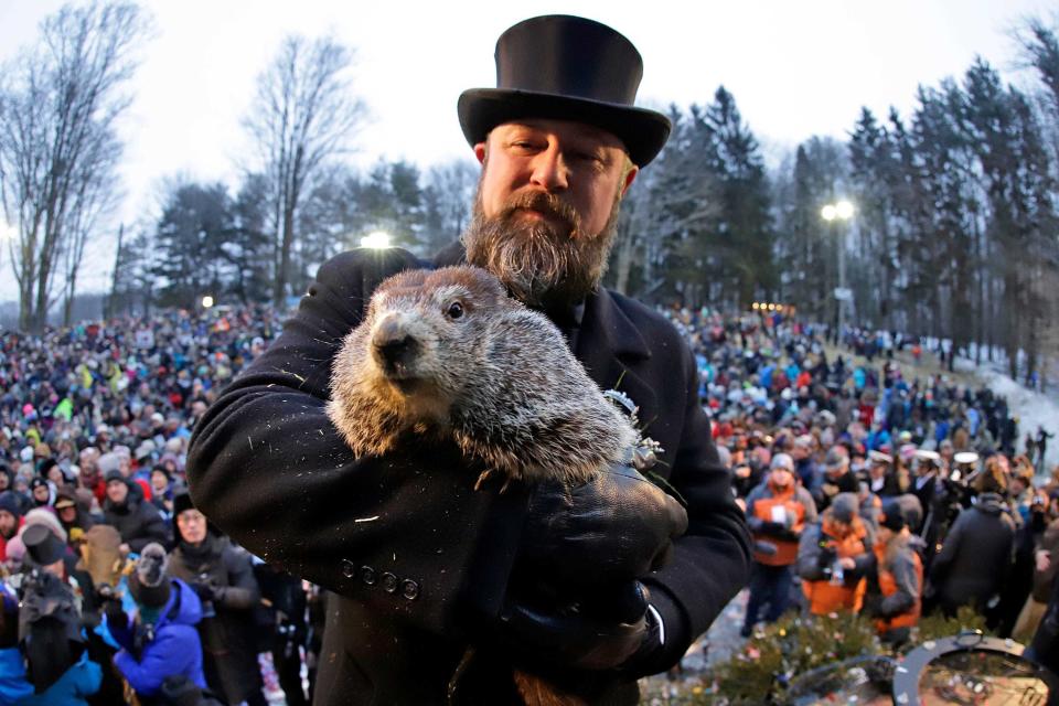 A file photo of Groundhog Club co-handler Al Dereume with Punxsutawney Phil.