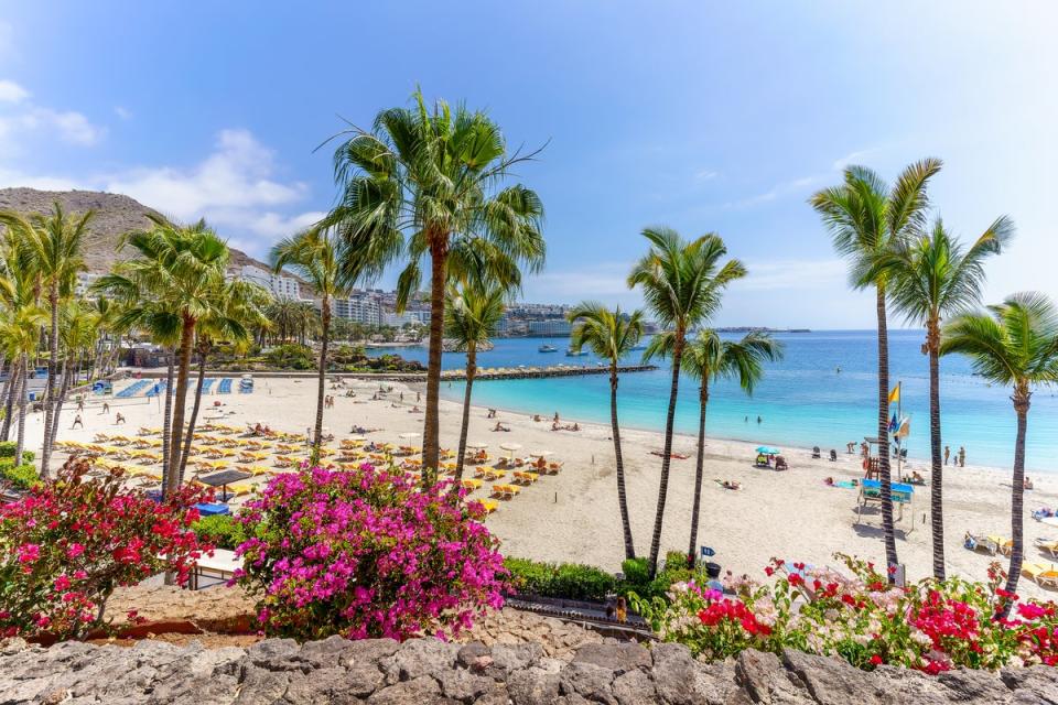 The sun-drenched Canaries bring the vitamin D to Europe for winter (Getty Images)