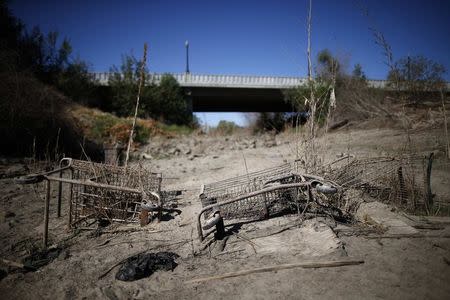 Discarded shopping carts lie in the dry Tule river bed in Porterville, California October 14, 2014. REUTERS/Lucy Nicholson