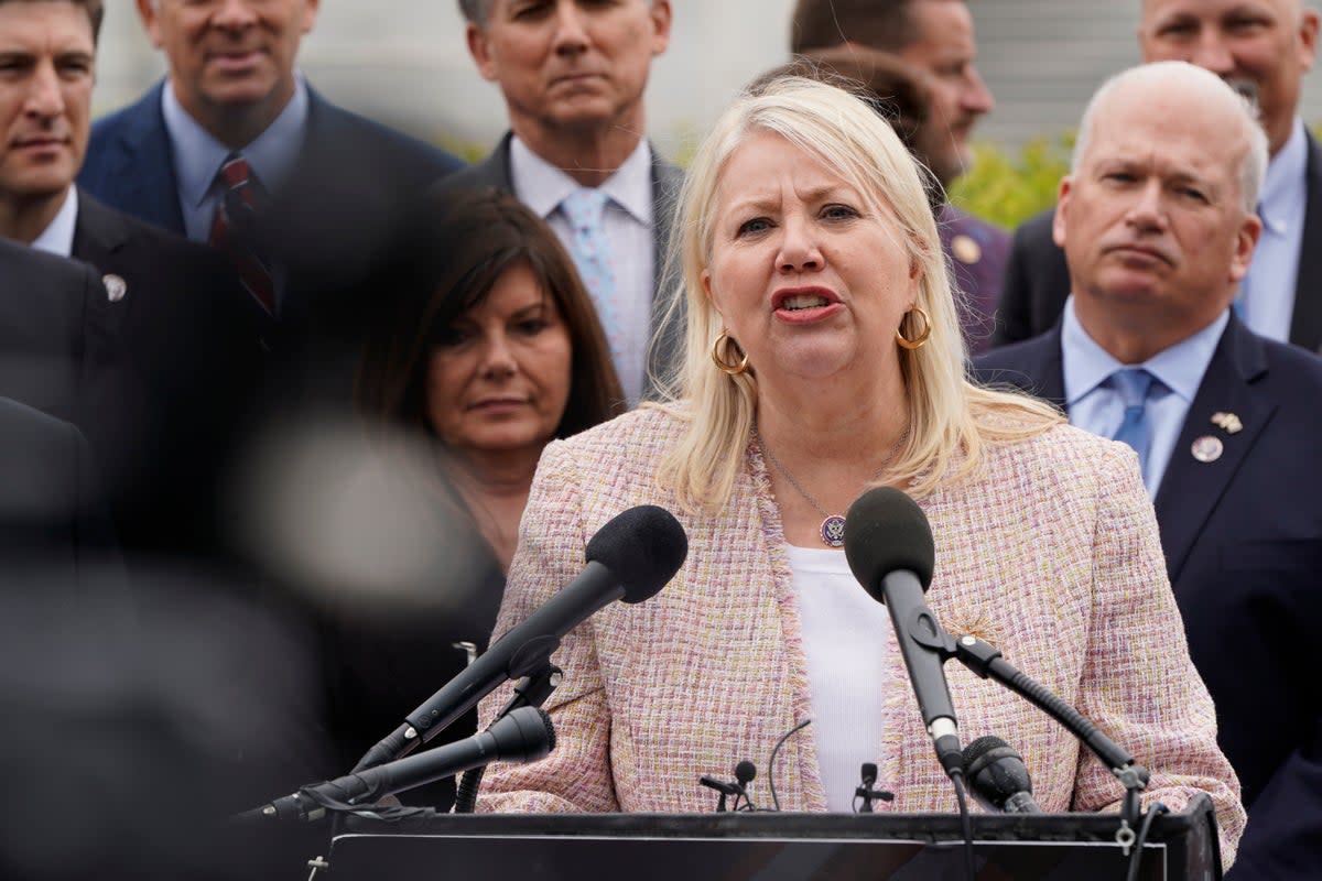 Rep Debbie Lasko says over one billion people have been apprehended at the US-Mexico border in six months (Getty Images)