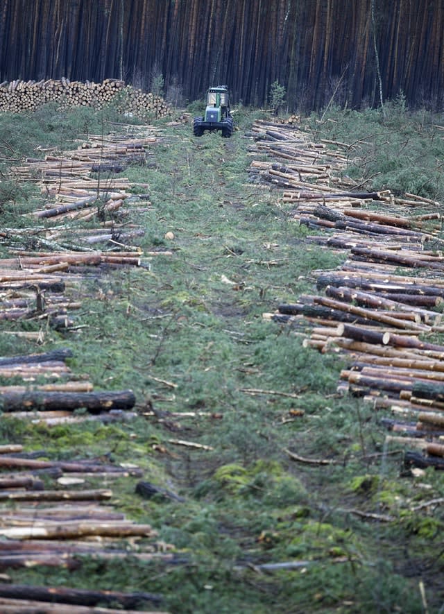 A grubbing machine stands on the site of the planned Tesla factory near Gruenheide, Germany