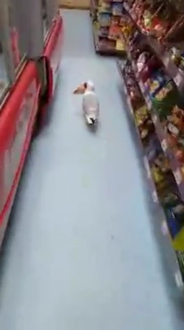 Seagull chased out of shop for stealing crisps 