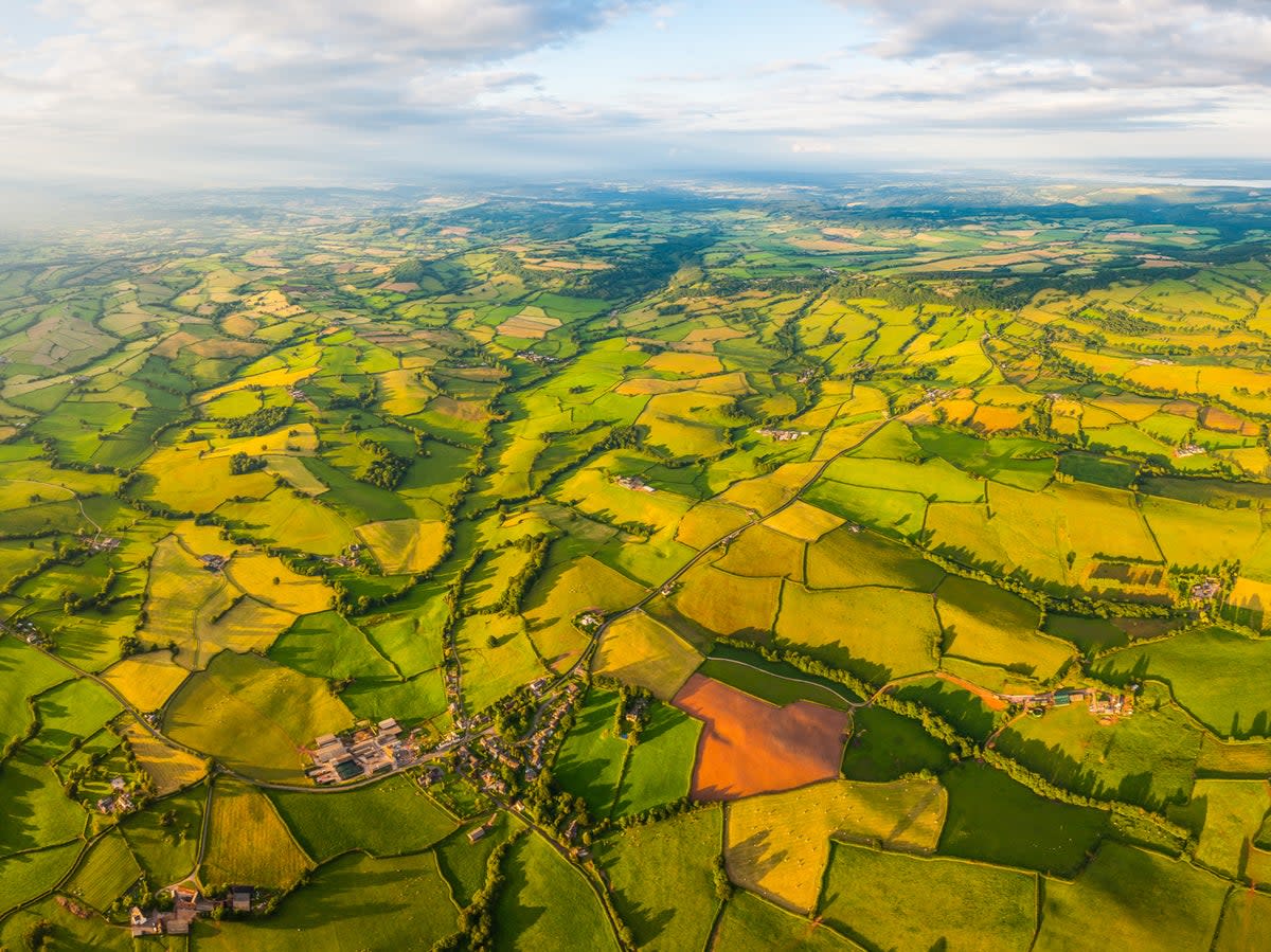 Farmland in Wales – agricultural sprawl has robbed the UK of its natural habitats, leaving the country one of the world’s most nature depleted places (Getty)