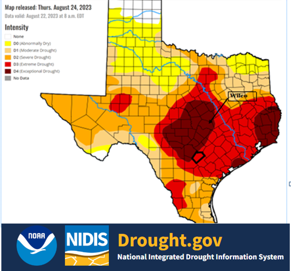 Williamson and Travis counties are completely inside the exceptional drought area per the federal drought map.