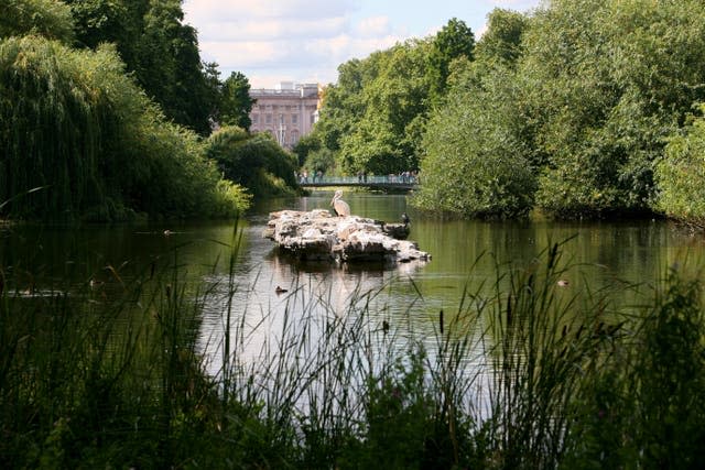 The view of Buckingham Palace from across the lake in St James's Park