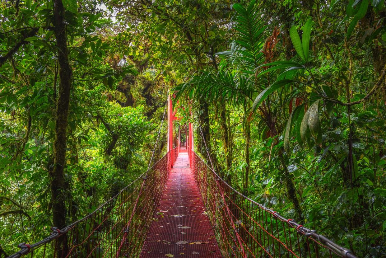 Monteverde Cloud Forest Biological Reserve