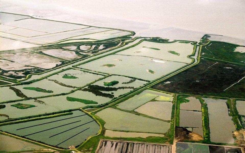 <p>This grid of colorful salt ponds is best seen from the sky. These various ponds have been turned different colors because of the micro-algae and microorganisms living in each one.</p>