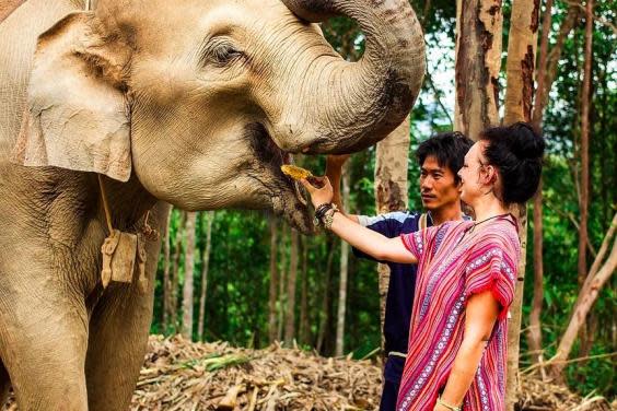 Meet the locals at the Elephant Jungle Sanctuary