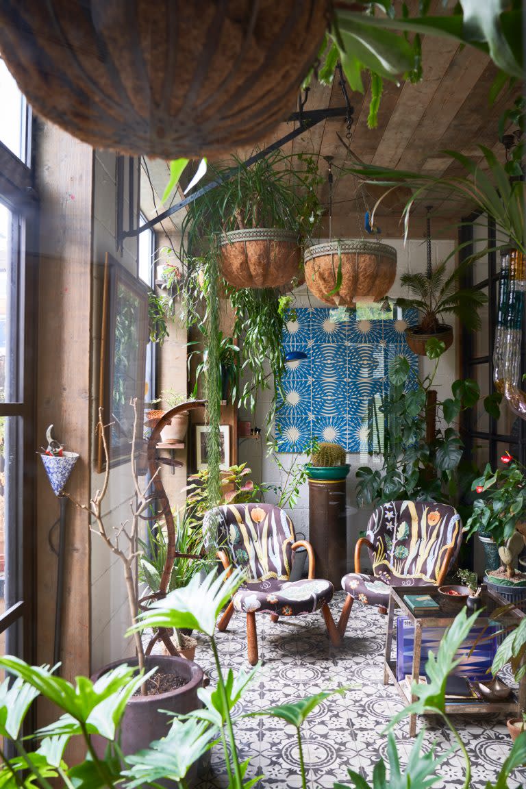 Room filled with house plants