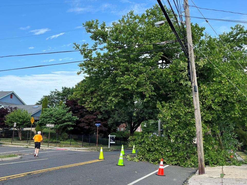 A tree leans against a power line in Atlantic Highlands Sunday morning, a day after a damaging storm raced through the area.