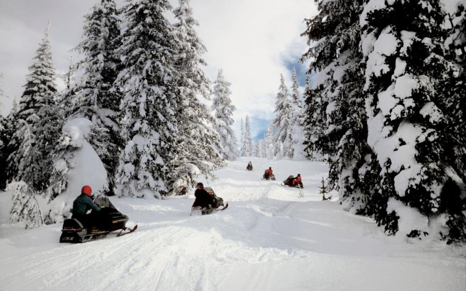 winter yellowstone - Getty/Medioimages/Photodisc