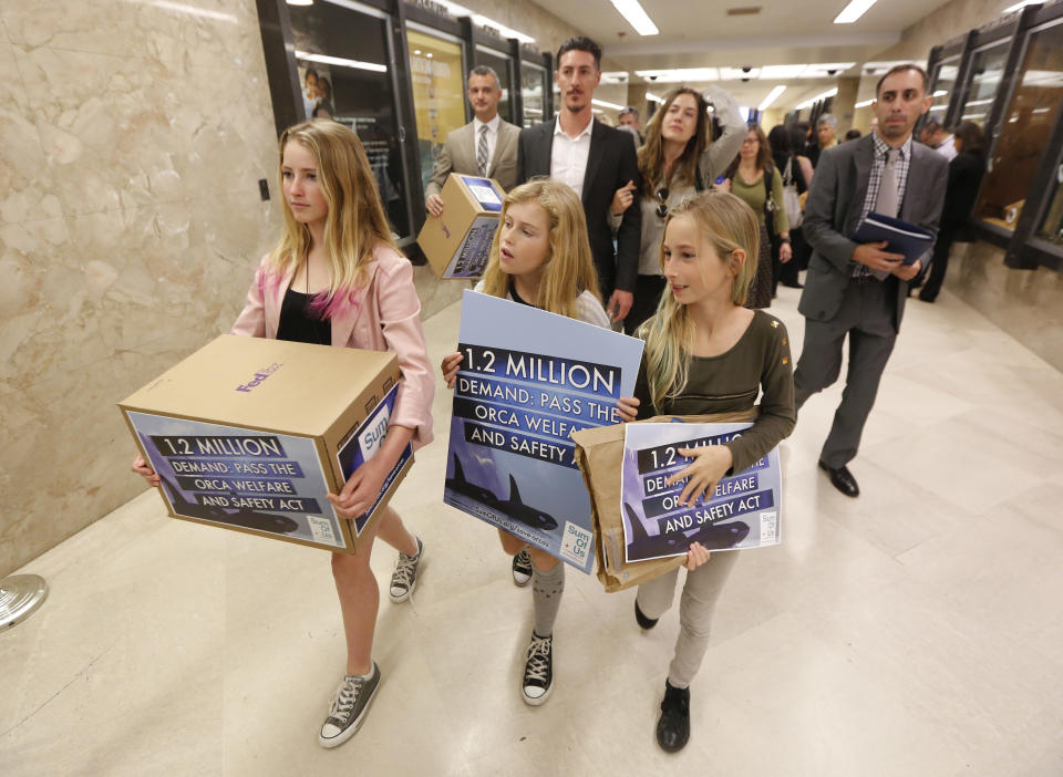 Ava Kotler, 12, left, her sister Kirra, 10, right, and Lizzie Gordon, 11, center, helped deliver petitions to for a bill that bans holding killer whales for performance and entertainment purposes, Monday, April 7, 2014, at the Capitol in Sacramento, Calif. Supporters of the bill, AB2140 by Assemblyman Richard Bloom, D-Santa Monica, criticizes the negative aspects of captive orcas at Sea World. The bill will go before the Assembly Water, Parks and Wildlife Committee Tuesday. Actor Eric Balfour, background second from left, and his fiancee, Erin Chiamulon where at the Capitol to support the measure.(AP Photo/Rich Pedroncelli)