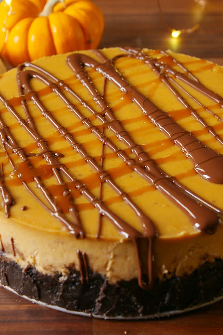 Chocolate Pumpkin Cheesecake