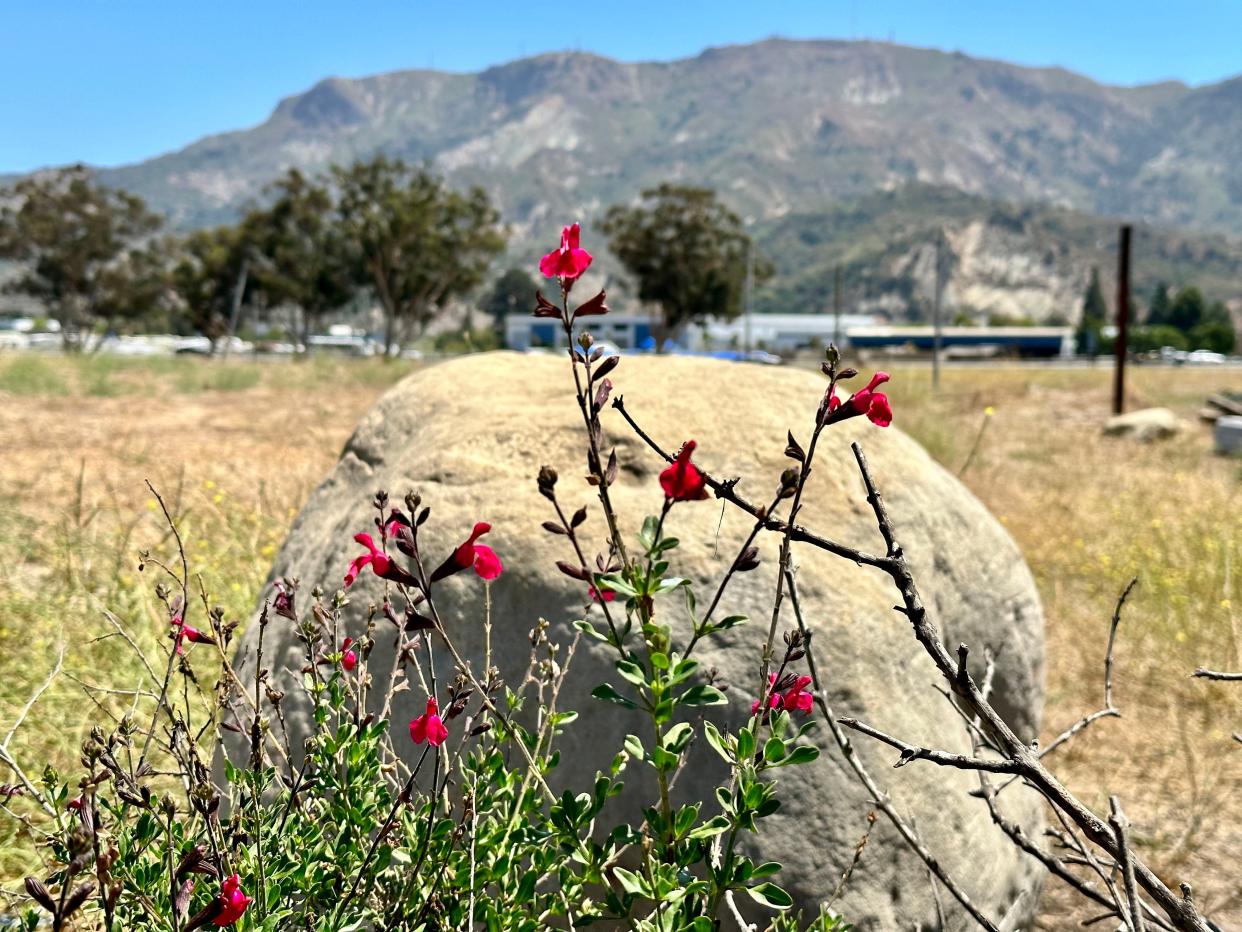The Arrive Santa Paula housing development proposed at 18004 E. Telegraph Road sits empty on Tuesday. The project calls for 298 new apartment units, of which 166 are designated affordable.