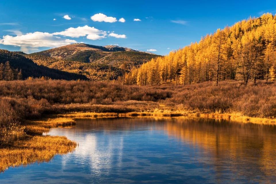 <div class="inline-image__caption"><p>Tuul river with landscape in autumn colors and Burkhan Khaldun mountain, Gorkhi-Terelj National Park, Mongolia</p></div> <div class="inline-image__credit">Getty Images</div>