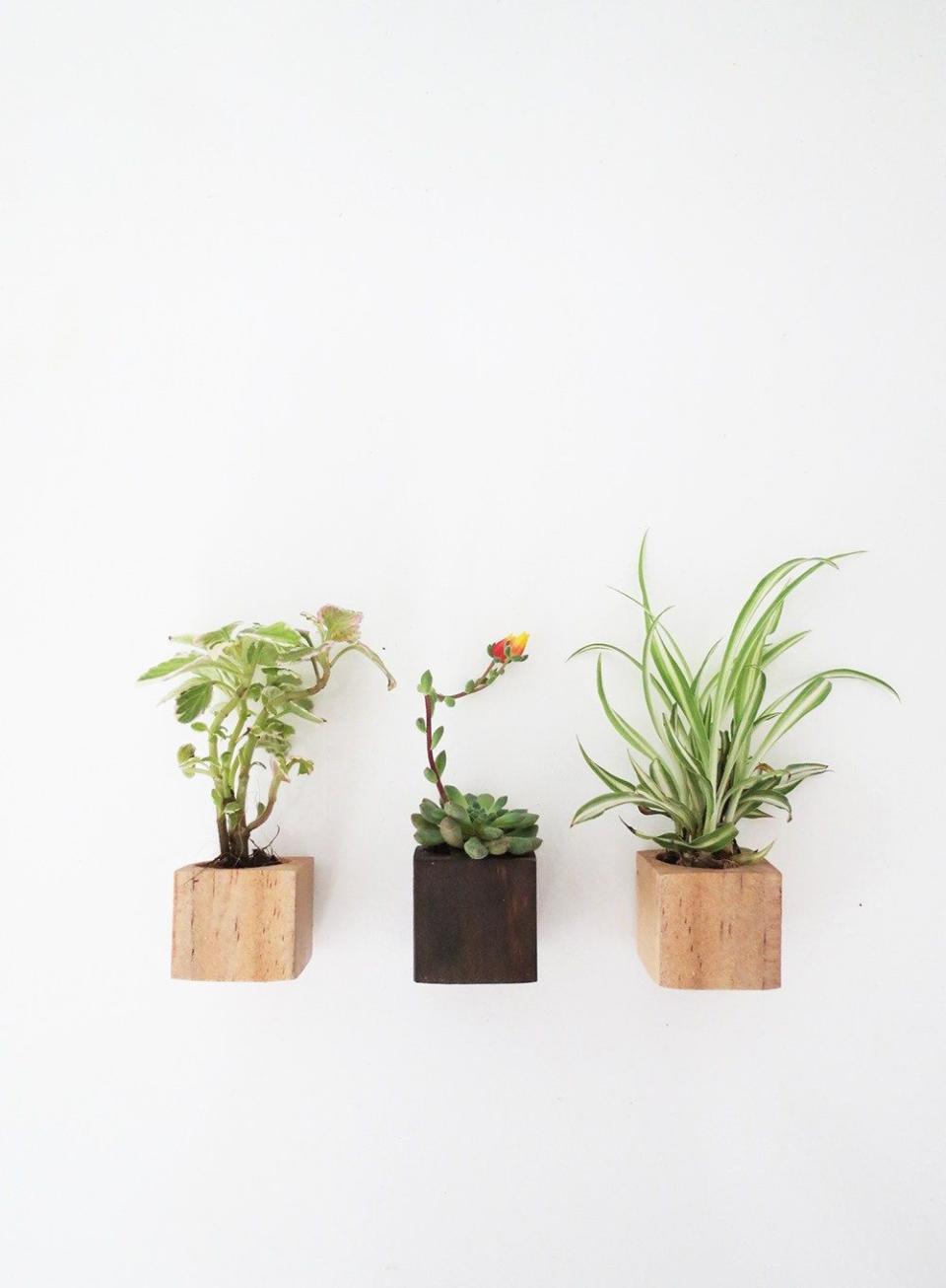 Magnetic Wall Planters