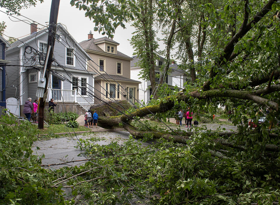 A street is blocked by fallen trees as a result of Hurricane Dorian pounding the area with heavy rain and wind in Halifax, Nova Scotia, on Sunday, Sept. 8, 2019. Hurricane Dorian brought wind, rain and heavy seas that knocked out power across the region, left damage to buildings and trees as well as disruption to transportation. (Andrew Vaughan/The Canadian Press via AP)