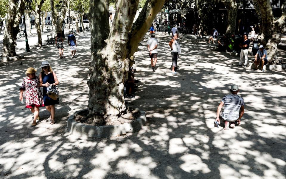 A perfect finish: the sun-dappled market in St Tropez