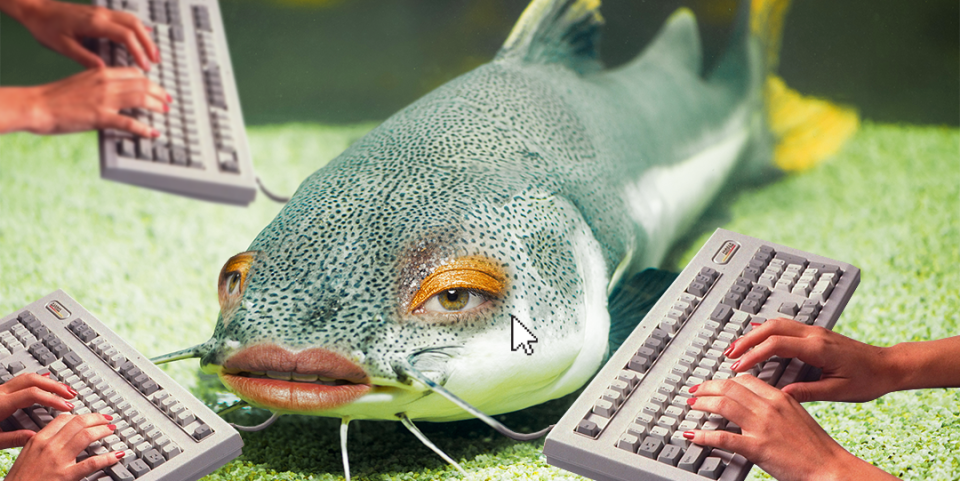 catfish on ocean floor surrounded by keyboards