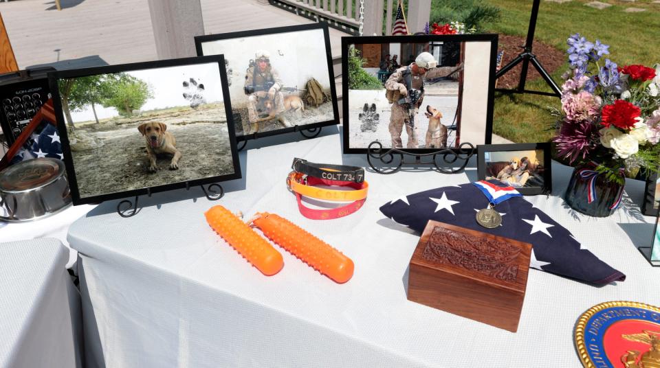 A memorial table dedicated to military war dog Colt with items on display that U.S. Marine Ryan Schnettler had by his side during his tour in Afghanistan. A service was held for Colt and another dog, Lucky6 at the Michigan War Dog Memorial in South Lyon on June 17, 2023.
